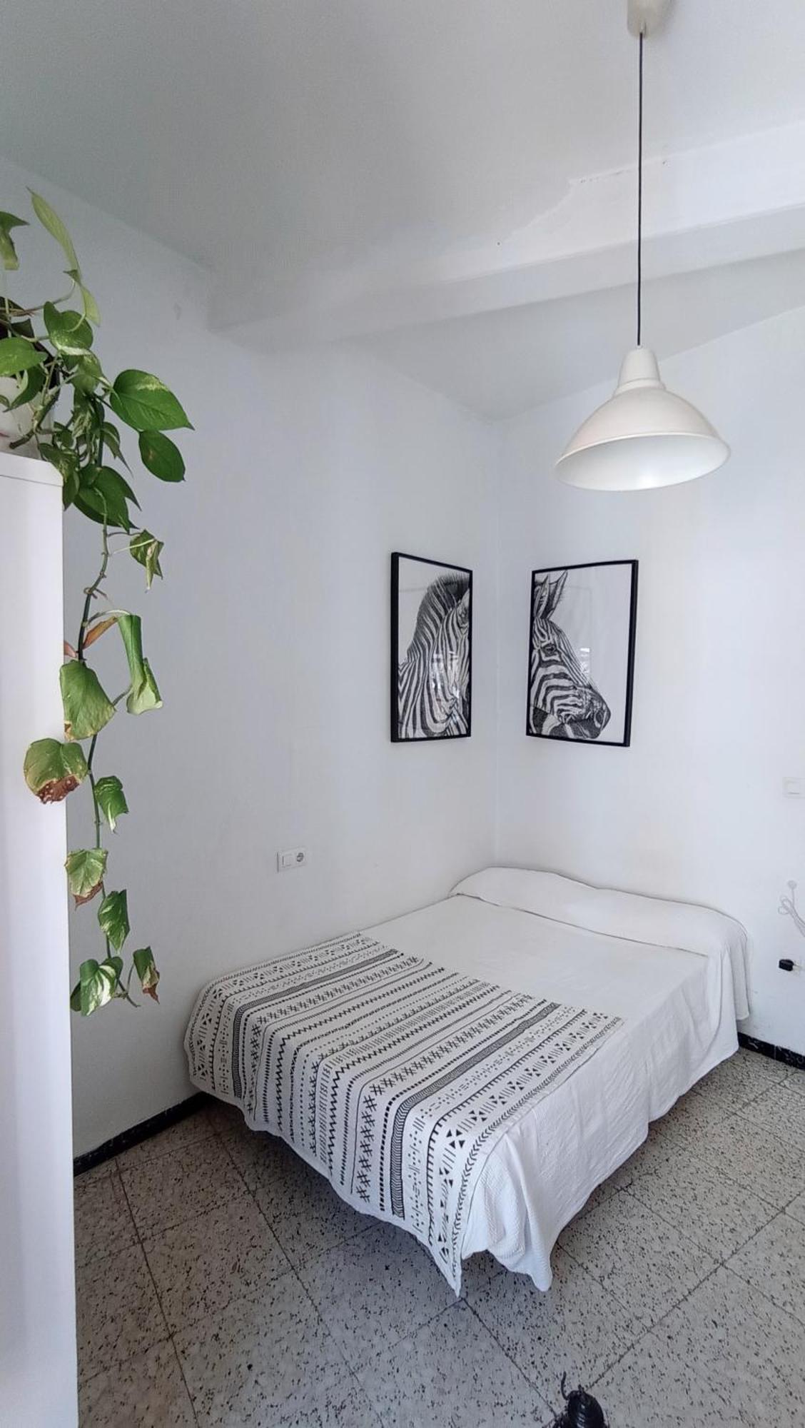 Accommodatie bij particulieren Preciosa En Pleno Centro De Ideal Hacer Turismo Y Vivir La Ciudad Sevilla