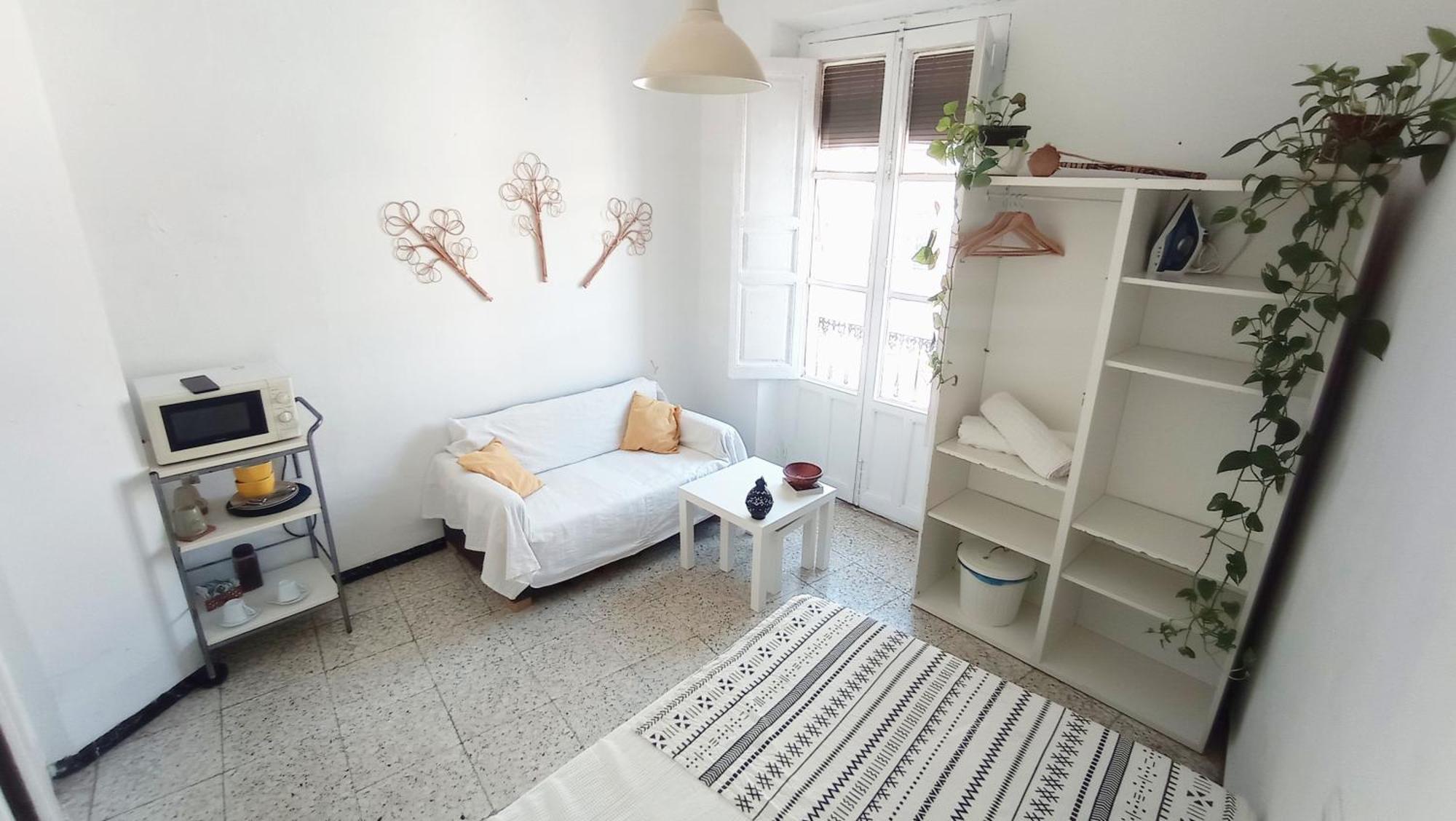 Preciosa En Pleno Centro De Ideal Hacer Turismo Y Vivir La Ciudad Accommodatie bij particulieren *