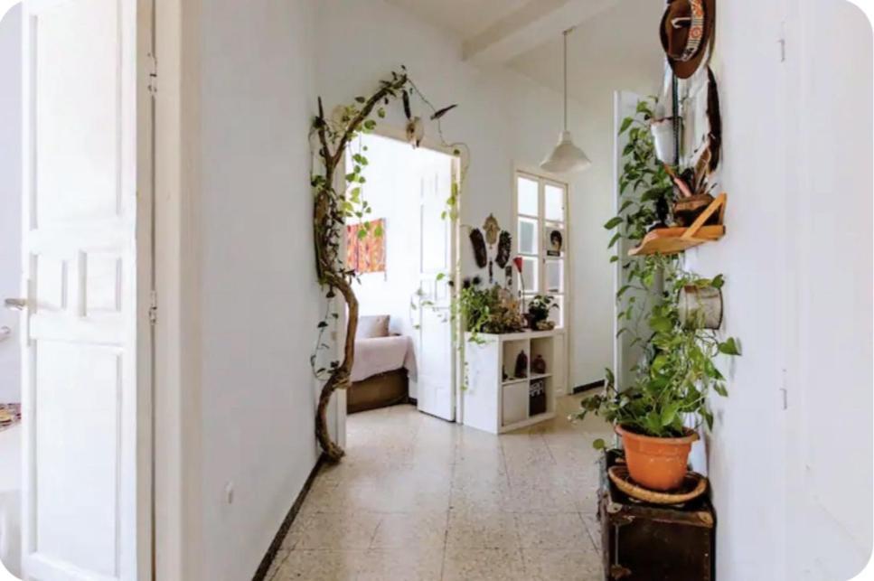 Preciosa En Pleno Centro De Ideal Hacer Turismo Y Vivir La Ciudad Accommodatie bij particulieren *